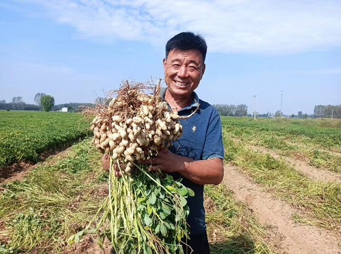 双塔镇：产业兴旺走出富民路