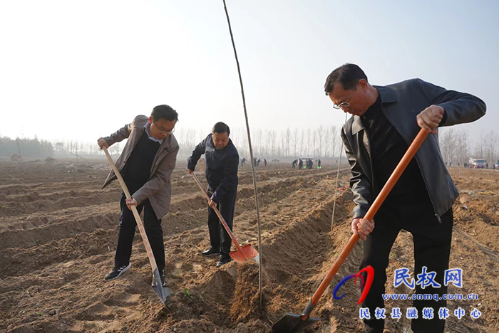 我县开展2024年春季义务植树活动