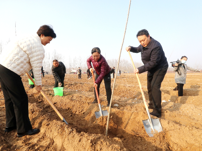 民权县开展2024年春季义务植树活动