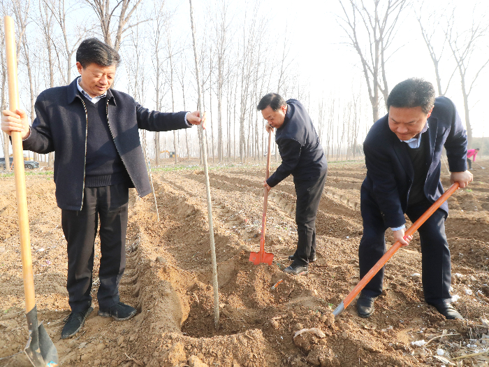 民权县开展2024年春季义务植树活动