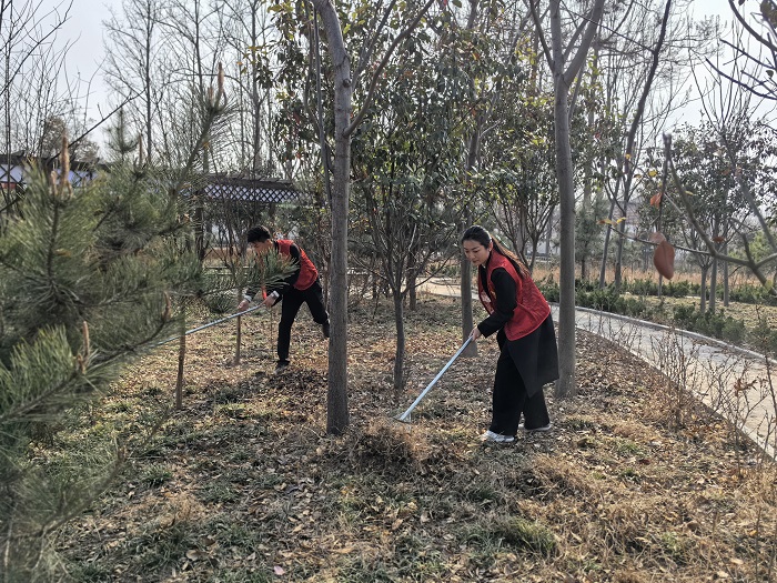 双塔镇：打响人居环境整治“开年战” 绘就美丽乡村新图景