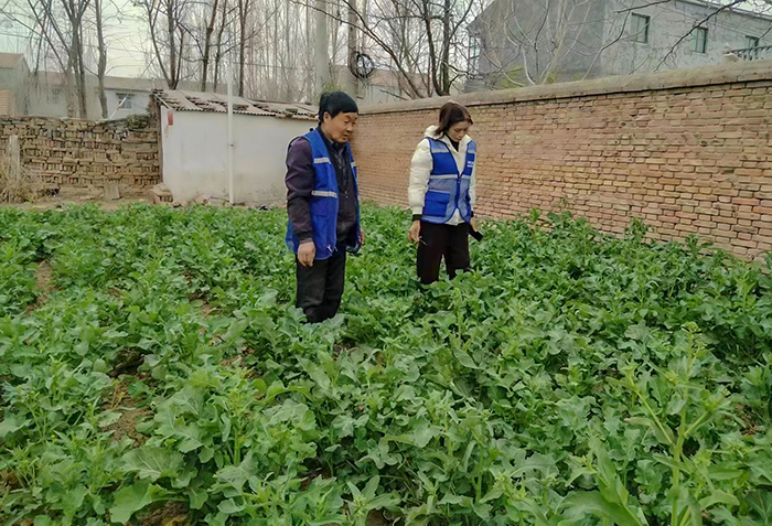 人和镇：禁种铲毒在行动 全面踏查无死角