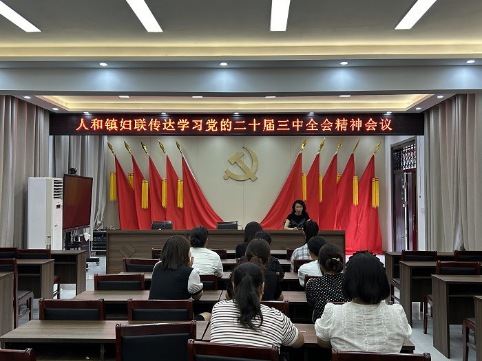 民权县人和镇妇联学习宣传贯彻党的二十届三中全会精神