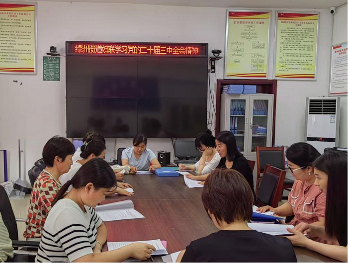 民权县绿洲街道妇联学习党的二十届三中全会精神宣讲会