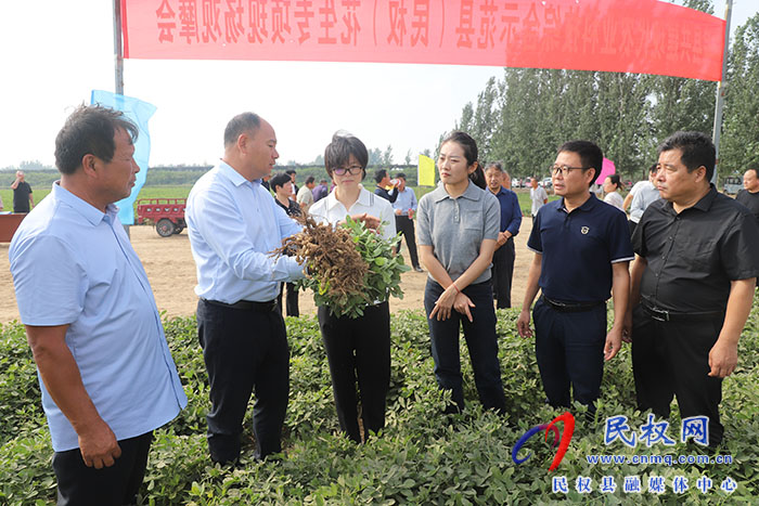 院县共建现代农业科技综合示范县（民权）花生专项现场观摩会举行