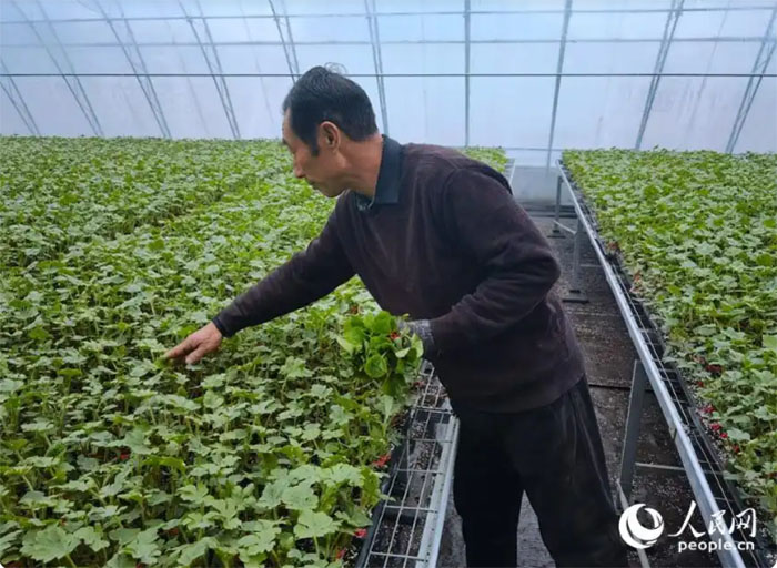 新春走基层｜在希望的田野上“种”下新梦想